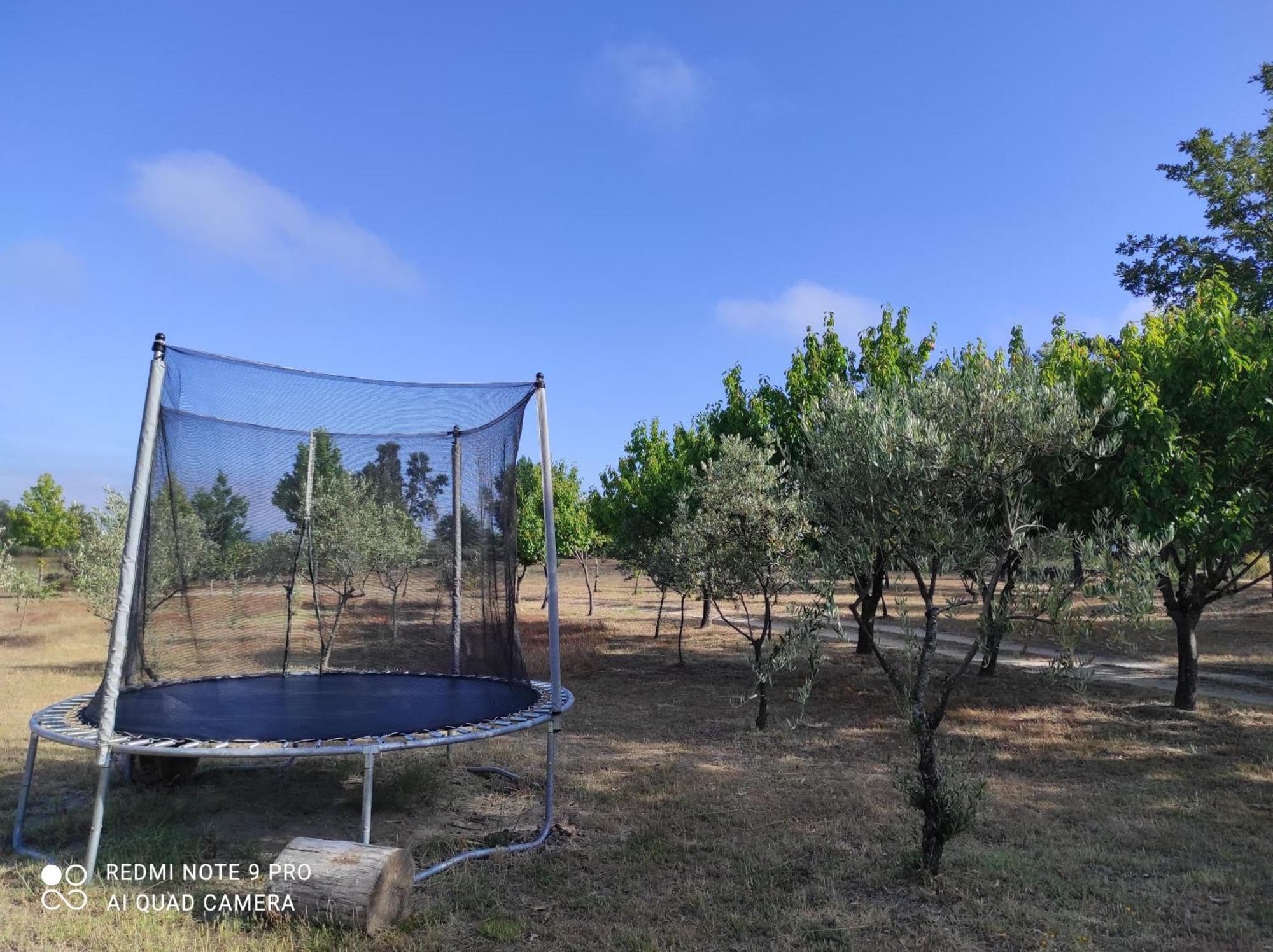 בית הארחה סייה 	Quinta Damigo מראה חיצוני תמונה