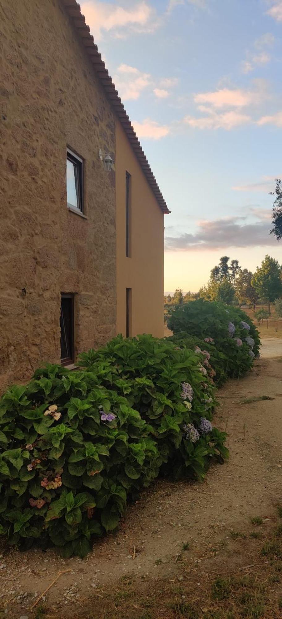 בית הארחה סייה 	Quinta Damigo מראה חיצוני תמונה