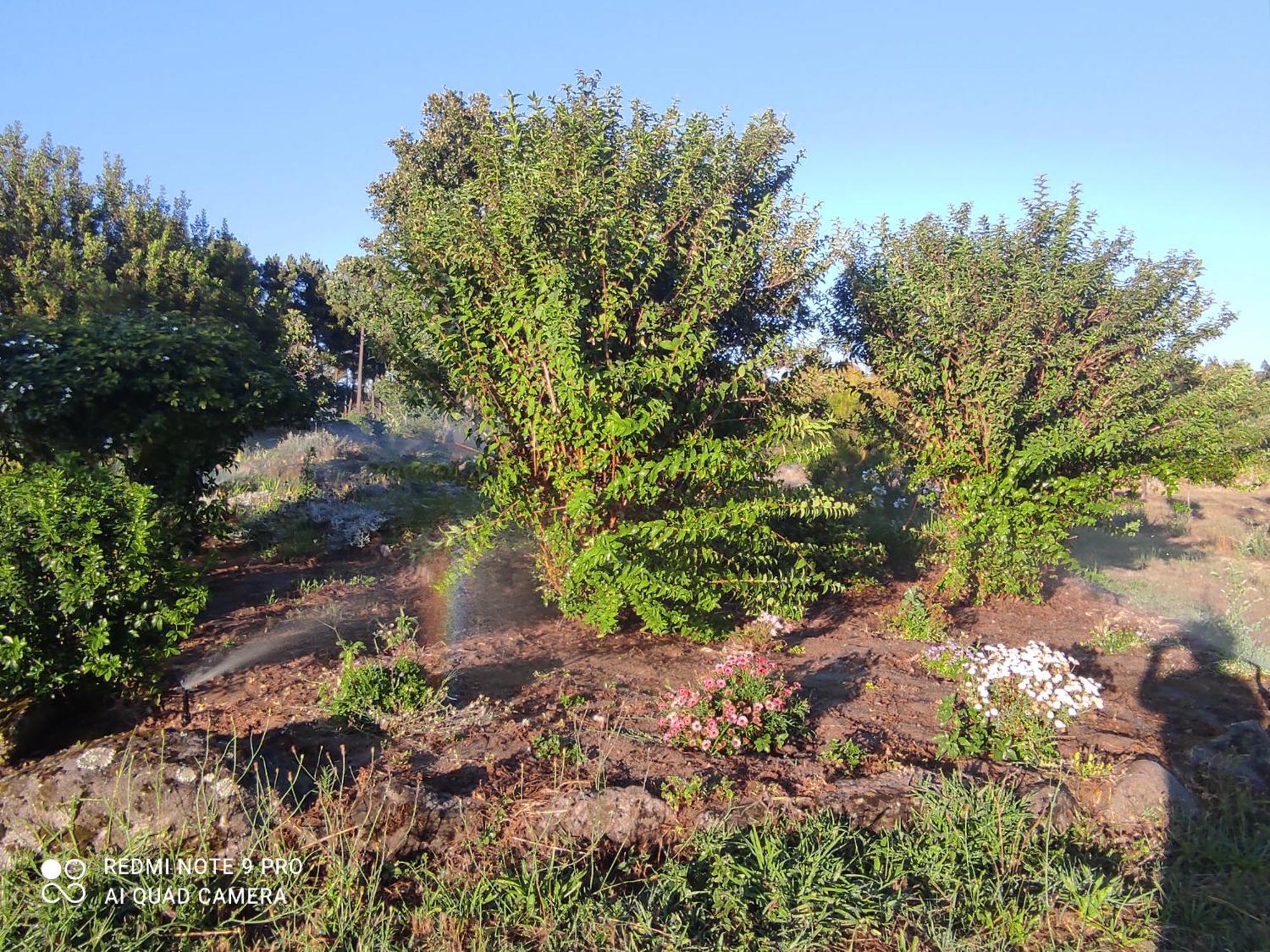 בית הארחה סייה 	Quinta Damigo מראה חיצוני תמונה