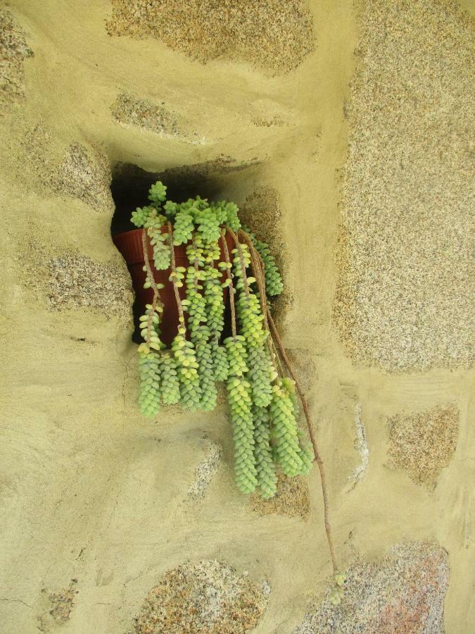 בית הארחה סייה 	Quinta Damigo מראה חיצוני תמונה
